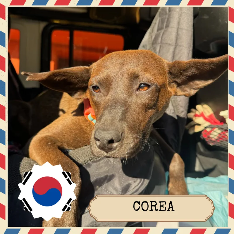 Corea